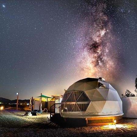 The Kosmic Tortoise Hotel Twentynine Palms Bagian luar foto