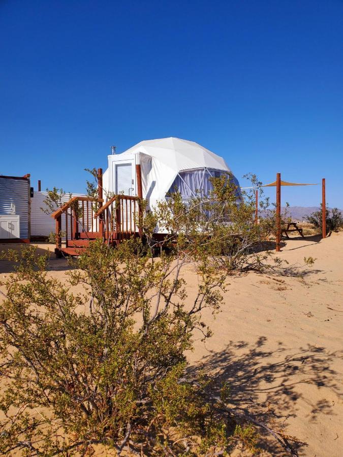 The Kosmic Tortoise Hotel Twentynine Palms Bagian luar foto