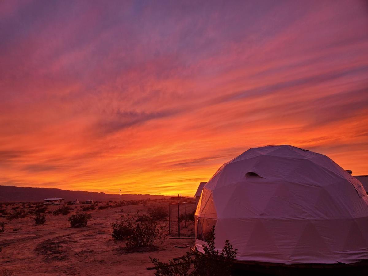 The Kosmic Tortoise Hotel Twentynine Palms Bagian luar foto