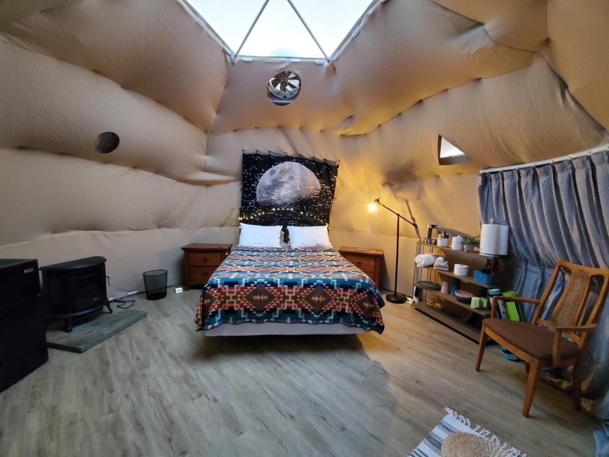 The Kosmic Tortoise Hotel Twentynine Palms Bagian luar foto