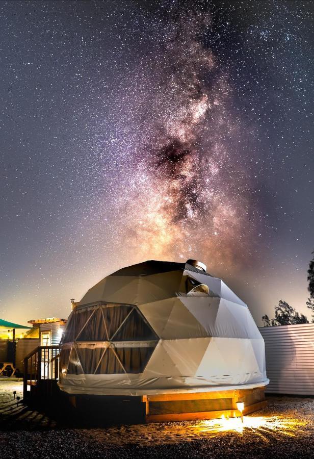 The Kosmic Tortoise Hotel Twentynine Palms Bagian luar foto