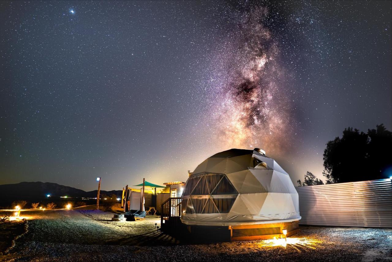 The Kosmic Tortoise Hotel Twentynine Palms Bagian luar foto